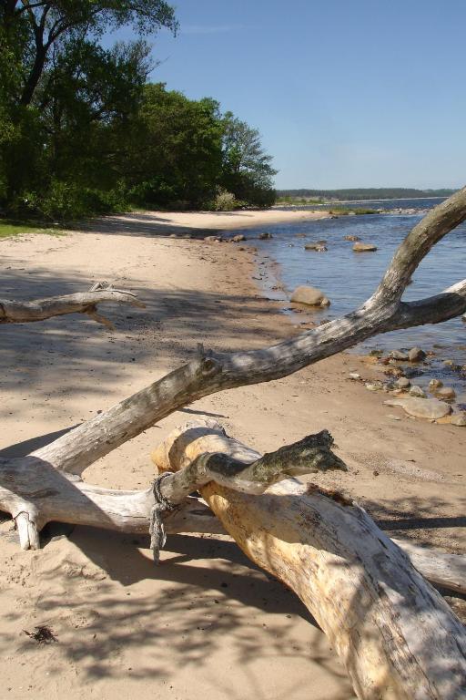 Kivikstrand Badhotell Zewnętrze zdjęcie