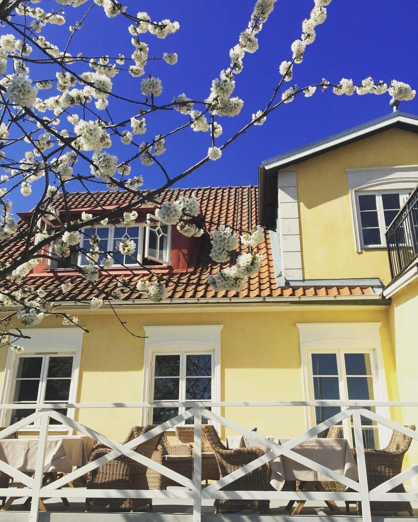 Kivikstrand Badhotell Zewnętrze zdjęcie